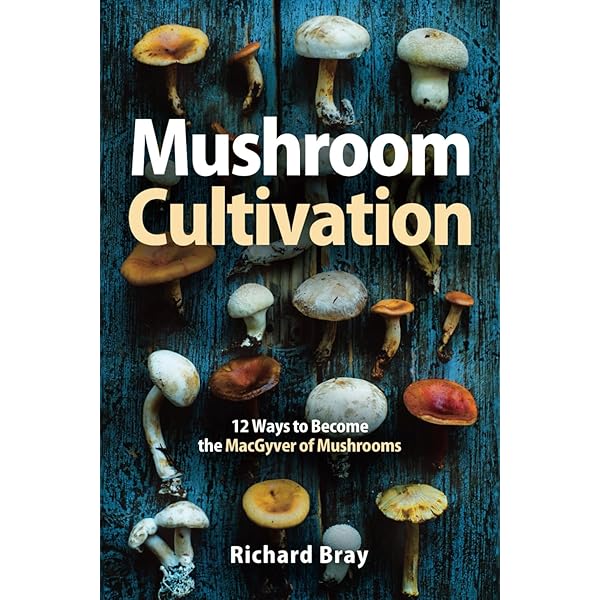 Beginner's Guide to Mushrooms: Everything You Need to Know