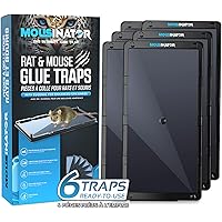 MOUSINATOR Rat and Mouse Large Glue Traps, 6-Pack, Larger, Heavier with Extra-Strong Adhesive Glue Mouse Trap, Sticky Mice Tr