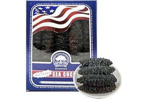 DABC OAK LAND Dried Wild Sea Cucumber, Natural South American Sun Dried Sea Cucumber, Premium Deep Sea Wild Caught Nutritious Rich In Protein, Vitamins and Minerals 8OZ Small BOX