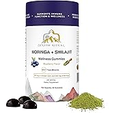 ZENITH RITUAL Shilajit Gummies with Moringa – Blueberry Flavor – 75% Fulvic Acid – Vegan, Gluten-Free, No Added Sugar – 60 Gummies