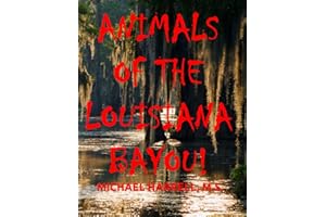 ANIMALS OF THE LOUISIANA BAYOU! (Wildlife of North America and other educational books.)