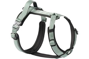PAWS PASSION CLEPAWS Dog Harness for Large Dogs, No Pull Dog Harness Easy Walk with Metal Hardware, Ergonomic Y-Shaped Design, Soft Padding, Padded Handle, Durable High-Tensile Nylon (Seabreeze, L)