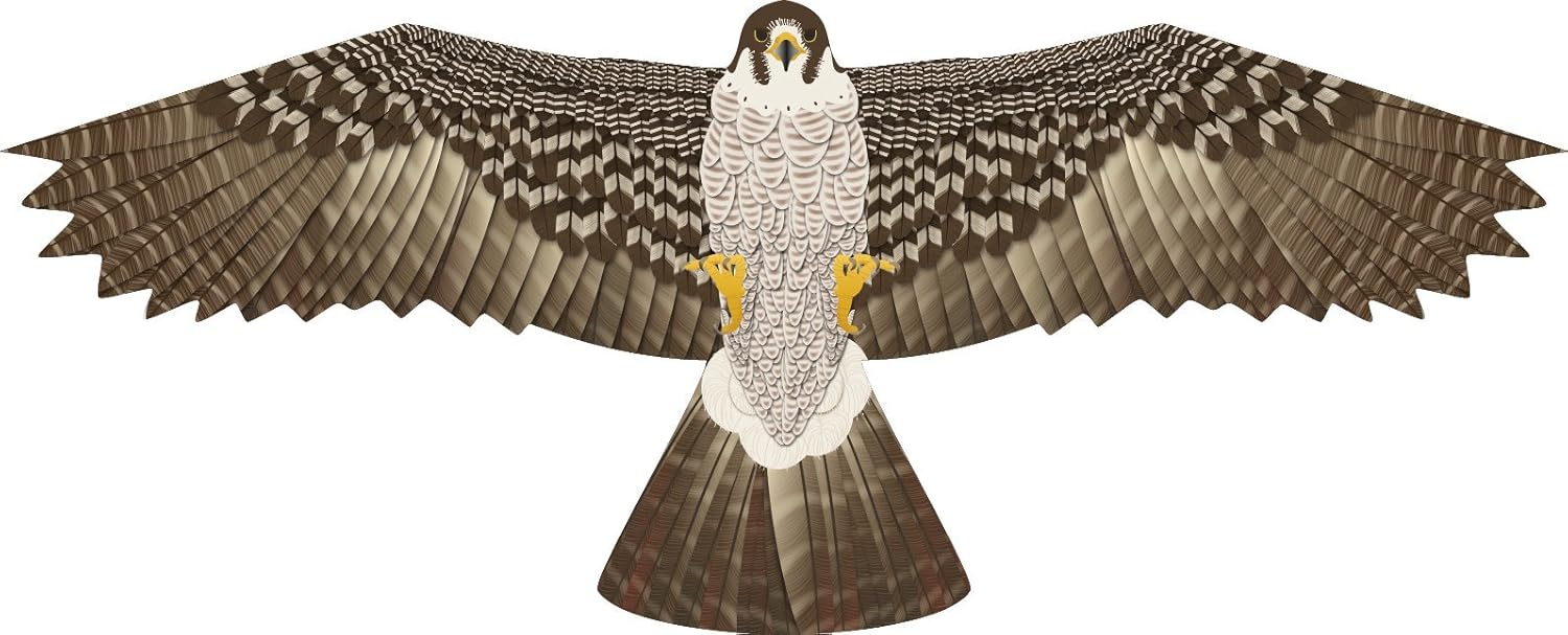 Life's A Breeze Falcon Bird Scarer Kite.Pattern Flat hawk kite.Free line Rig.Protect Farmers Life's A Breeze Falcon Bird Scarer Kite.Pattern Flat hawk kite.Free line Rig.Protect Farmers
