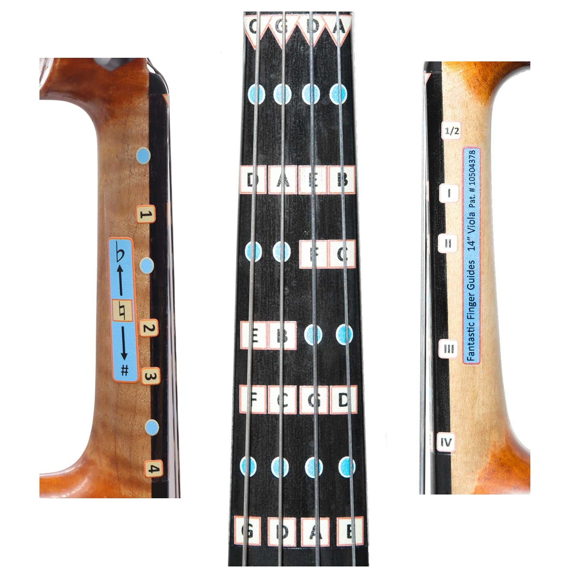 Fantastic Finger Guide for Violas | Stringed Musical Instruments | Fingerboard and Fretboard Stickers for Learning All Notes | Kids/Adult Beginner Viola Finger Guide | 14"
