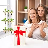 XXXFLOWER Wall Hanging Propagation Station 3 Tier Wooden Stand 9 Test Tubes view 7