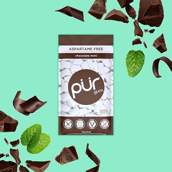 PUR GUM | ASPARTAME FREE CHEWING GUM | 100% XYLITOL | NATURAL CHOCOLATE MINT FLAVORED GUM, 55 PIECES (PACK OF 1)