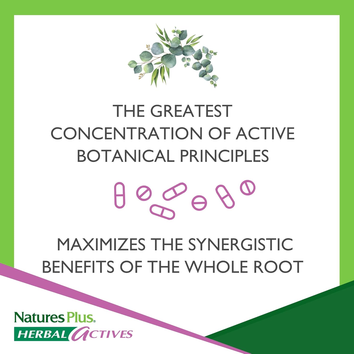 NaturesPlus Herbal Actives Korean Ginseng - 250 mg, 60 Vegan Capsules - Adaptogenic Herbal Supplement, Antioxidant - Vegetarian, Gluten-Free - 60 Servings: Health & Personal Care
