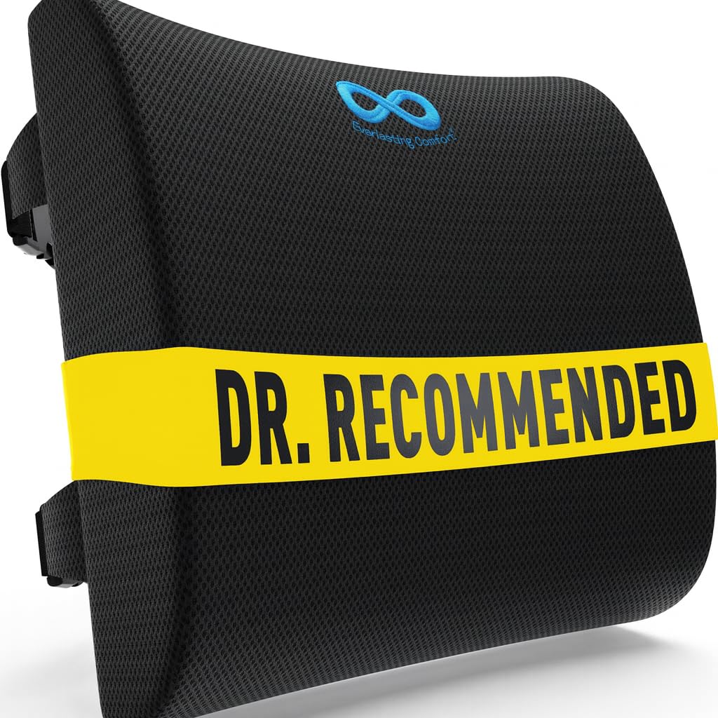 Everlasting Comfort Lumbar Support Pillow for Office Chair - Memory Foam Back Cushion for Chair, Car, Couch - Lumbar Pillow Promotes Better Posture, Back Pain Relief - Ideal for Gaming and Desk Chairs