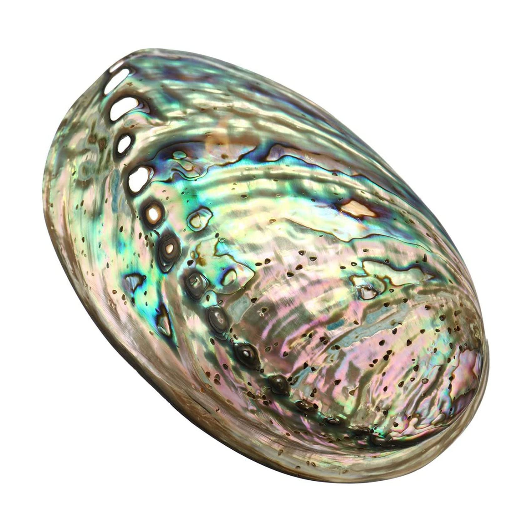 Large Abalone Seashell, Multihole Decorative Smudging Abalone Shell Party Wedding Home Decorations Accessories 90x120x39mm Hole: Approx 3-9mm
