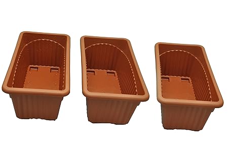 First Smart Deal Plastic Rectangle Pot (Brown, Pack of 3)