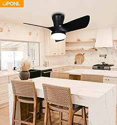 OPONL Black Ceiling Fan with Light 30inch, Large