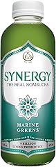 SYNERGY The Real Kombucha - Marine Greens - 16 fl oz Bottle - Raw Probiotic Drink for Gut Health and Immune Support