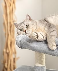 lionto Scratching Tree for Cats with 2 Caves & Cozy