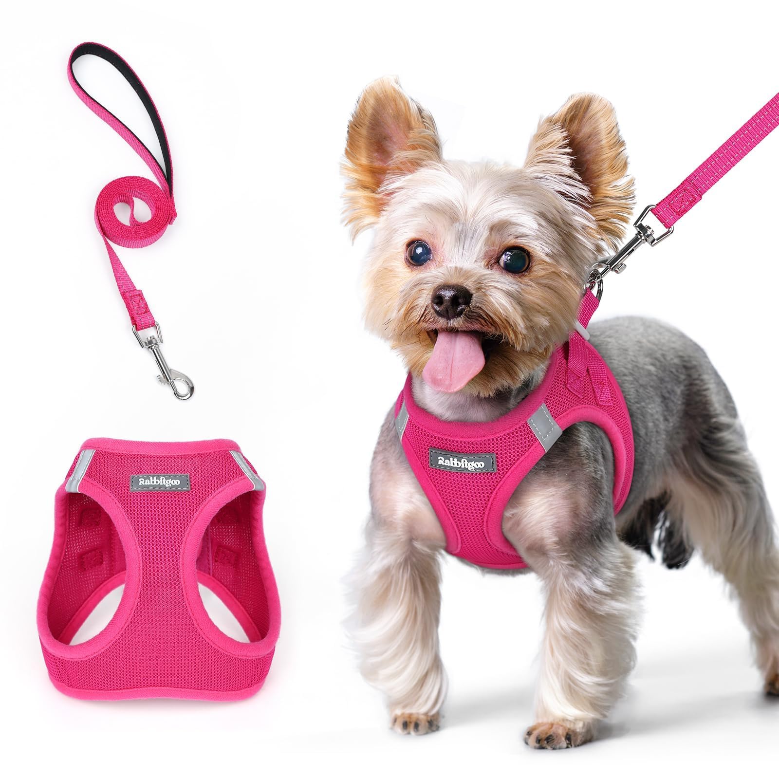 Photo 1 of rabbitgoo Dog Harness Small Sized and Leash Set, Step in Soft Light Puppy Vest, Breathable Mesh Pet Harness, Reflective for Safe Easy Walking, Rose Red XS