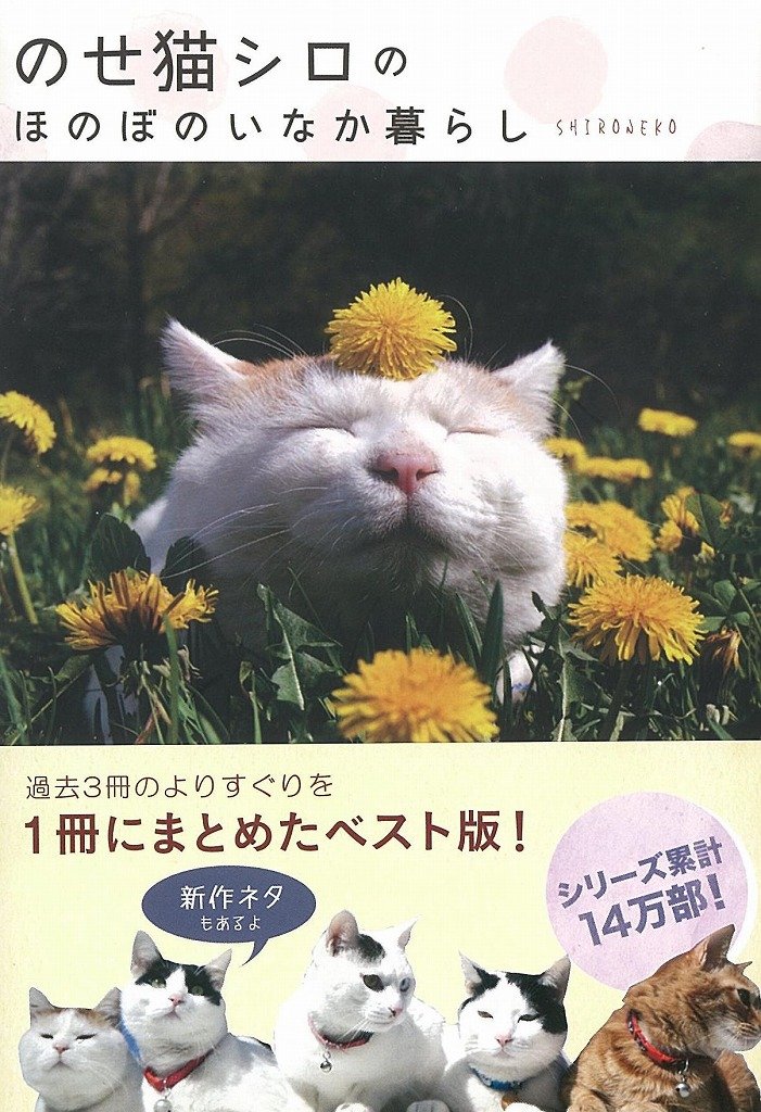 のせ猫シロのほのぼのいなか暮らし Shironeko 本 通販 Amazon のせ猫シロのほのぼのいなか暮らし Shironeko 本 通販 Amazon