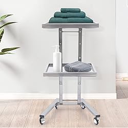 CHINEGER 2 Tier Metal Rolling Cart Foldable Salon