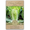 Gaea's Blessing Seeds - Chinese Cabbage Seeds - Michihili Heirloom - Non-GMO Seeds with Easy to Follow Planting Instructions - Open-Pollinated High Yield Heirloom 94% Germination Rate
