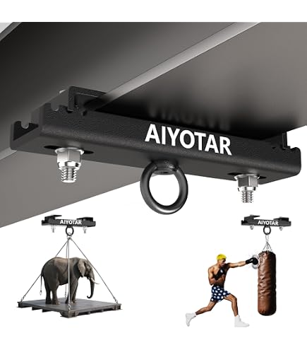 Amazon.com: Meister Beam Clamp Hanger Mount for Boxing & MMA Heavy