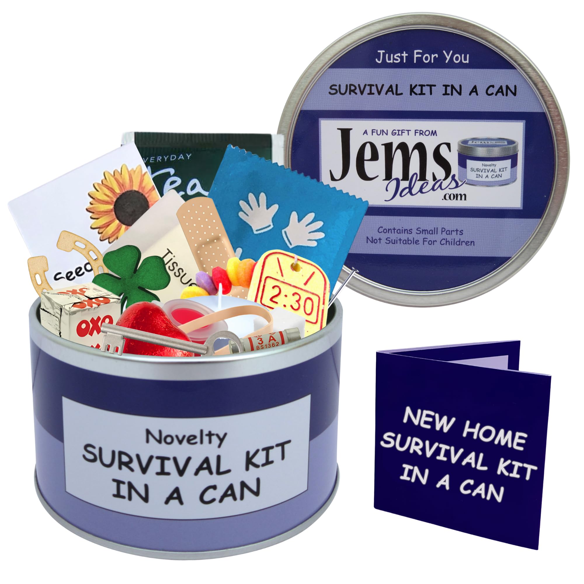 New Home Survival Kit in a Can – Funny Novelty Housewarming Gift – Humorous Congratulations Present for New House or Flat – Unique Fun Keepsake Gift Box with Card (Purple/Lilac)