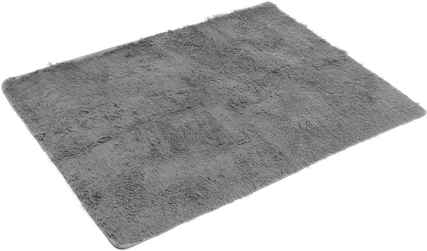 XBSJB Soft Fluffy Rugs Indoor NonSlip and Easy to Clean Plush Area Rug for Bedroom