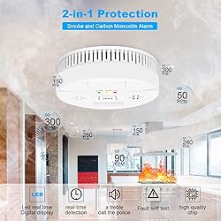 Combination Smoke Carbon Monoxide Alarm Detector