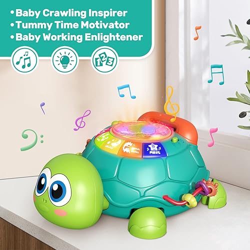 Turtle Educational Toys For 12 Months CUTE STONE Baby Toys To 12