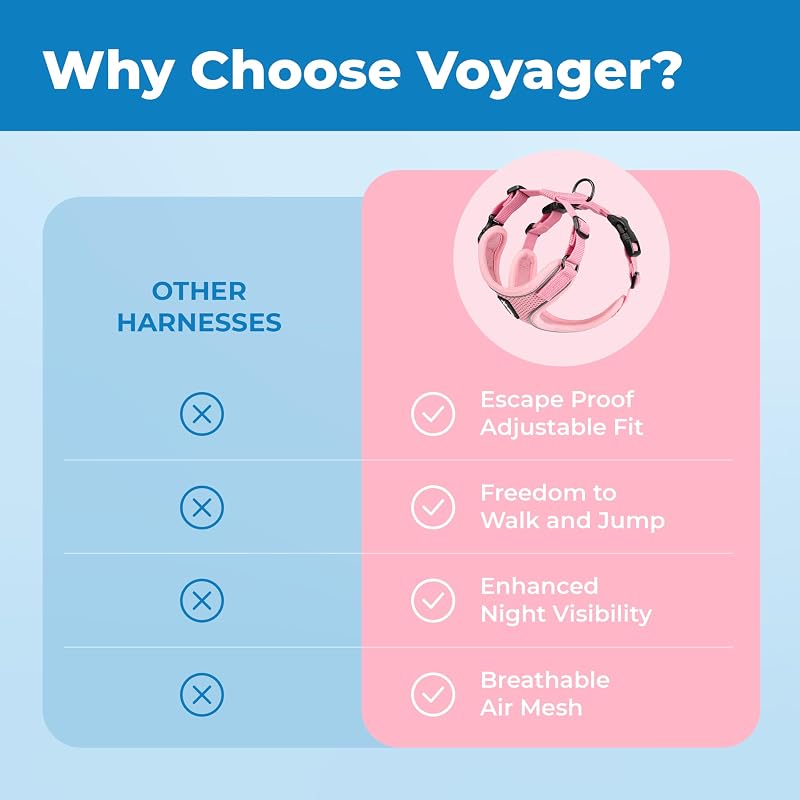 Voyager Ensemble harnais et laisse anti-fugue pour chat avec coutures réfléchissantes, poignée en néoprène de 1,5 m – Convient aux chats, chatons de petite, moyenne et grande taille,