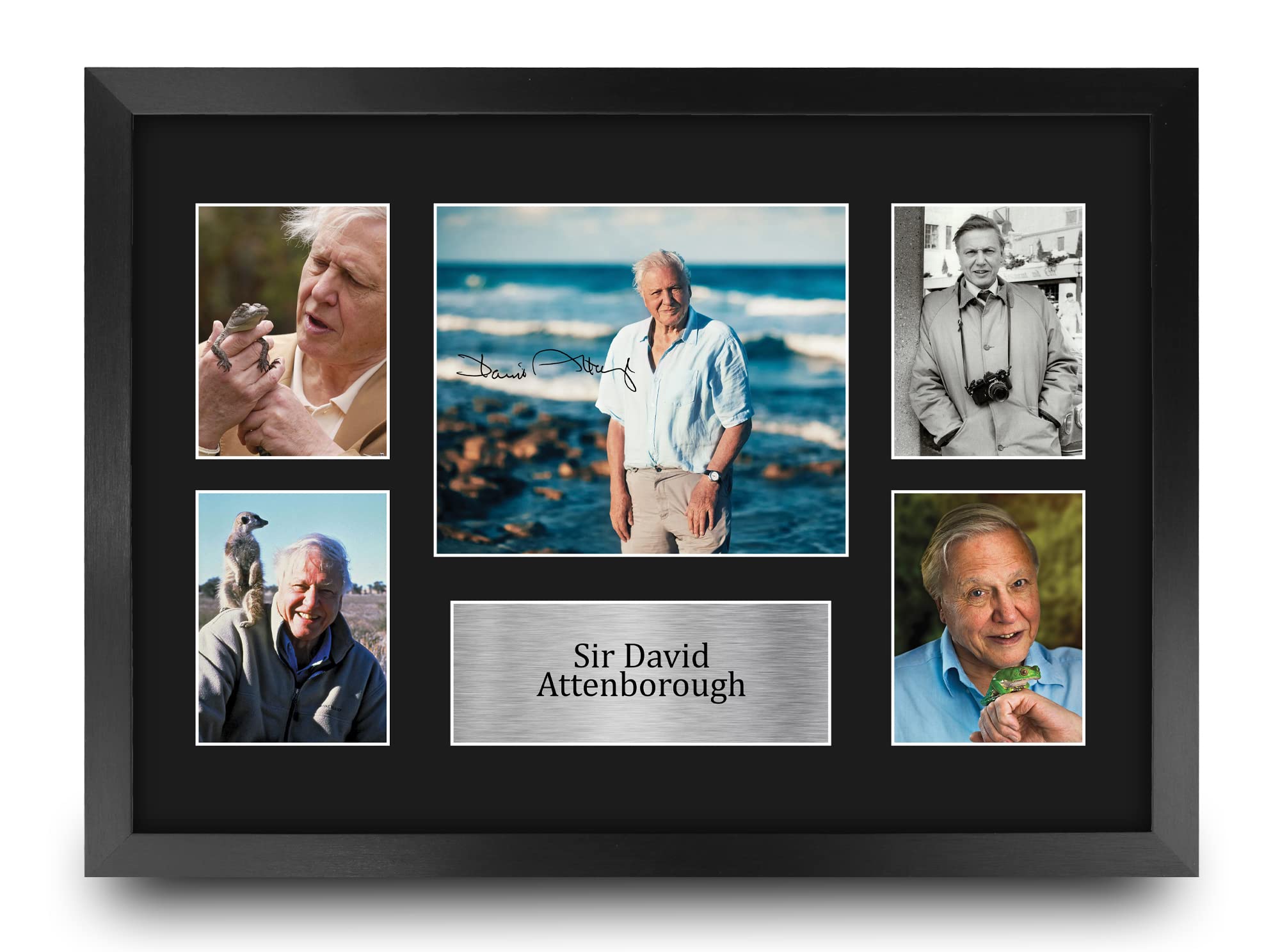 HWC Trading FR A3 Sir David Attenborough Gifts Printed Signed Autograph Picture for Followers & Fans - A3 Framed