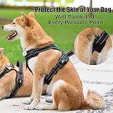 PoyPet No Pull Dog Harness Reflective Vest with 2 Leash Attachments (S) Black view 5
