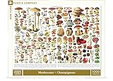 New York Puzzle Company - Vintage Images Mushrooms