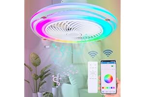 Zvaiuk 20" Bladeless Low Profile Ceiling fans With Lights and Remote, ，Modern Flush Mount Enclosed Ceiling Fan with Smart APP Control Music Speaker, 6 Speed Reversible