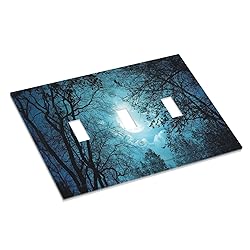 Spshian Light Switch Cover Teal Full Moon Forest 3