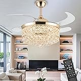 42" Ceiling Fans with Lights and Remote, Modern