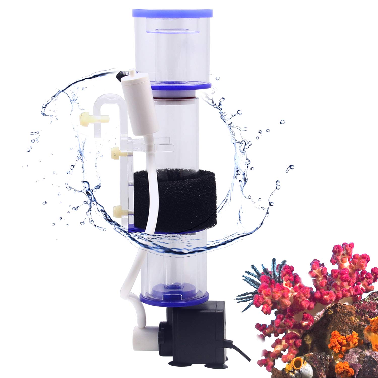 Mua Hanchen プロテインぷちスキマー 小型水槽用 海水魚飼育用 水質改善 水槽スキマー 水槽用フィルター 水質改善 熱帯魚 観賞魚 外掛け式 タンパク質 廃棄物分離 汚れ除去 Rf50 6w Tren Amazon Nhật Chinh Hang 21 Fado