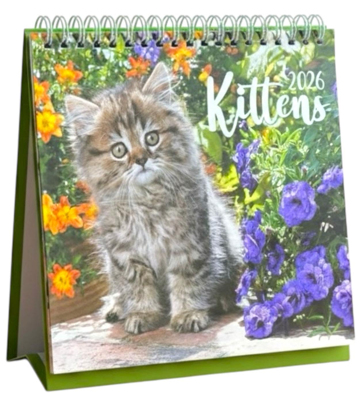 PaulStore 2026 Month to View Desktop Calendar Home Office Table Work Top Planner Organiser (Kitten)