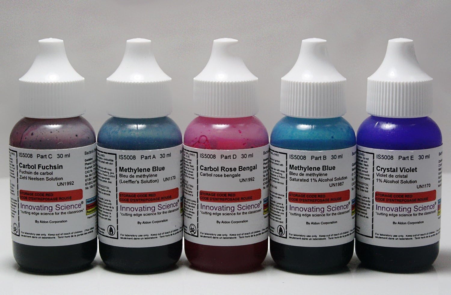 General Bacteria Staining Kit, w/5 Common Reagent Stains