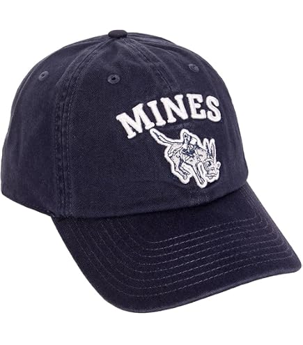 Amazon.com: Desert Cactus Colorado School of Mines Embroidered