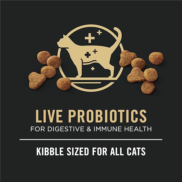 PURINA PRO PLAN ALL LIFE STAGES HIGH PROTEIN CAT FOOD CHICKEN AND RICE DRY KIBBLE 5.5 POUND (PACK OF 1)
