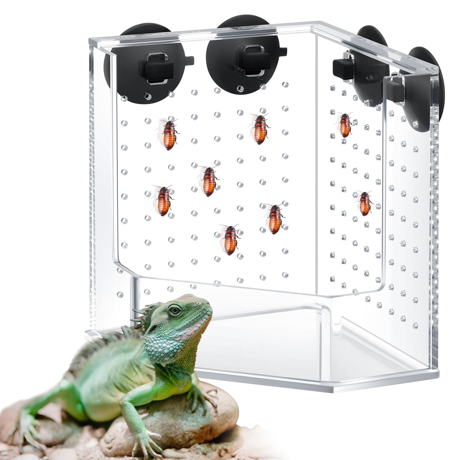 Photo 1 of Weysat Reptile Corner Hunting Bowl, Transparent Acrylic Reptile Feeder Box with 4 Suction Cups, Tank and Aquarium Accessories for Lizard Bearded Dragon Chameleon Gecko Frog, 3.9 x 3.9 x 6.1 Inches