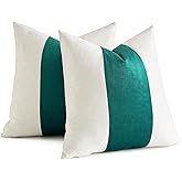 AmHoo Pack of 2 Velvet Panel Cotton Pillow Covers Decorative Pillowcase Cushion for Couch Sofa Bedroom 20 x 20-Inch Teal Green