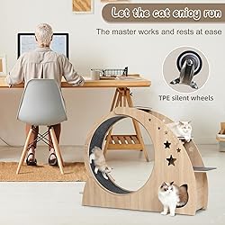 5-in-1 Cat Wheel,Cat Exercise Wheel,41.3" High