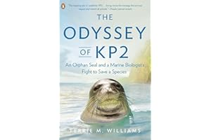 The Odyssey of KP2: An Orphan Seal and a Marine Biologist’s Fight to Save a Species