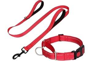 FunTags Reflective Martingale Collar for Dogs, Quick Release Buckle, 5FT Double Handle Dog Leash Padded, Dog Collar and Leash Set, Adjustable for Large Dogs (Red, L)