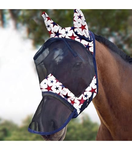 Amazon.com: HILASON Large Blue Heavy Duty Horse Neoprene
