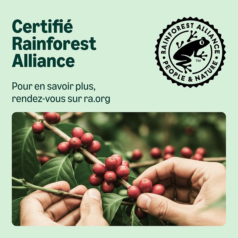 Capsules de café Lungo compatibles avec Nespresso, en aluminium, torréfaction moyennement poussée, 100 Pièces, 5 lot de 20 - Certifié Rainforest Alliance
