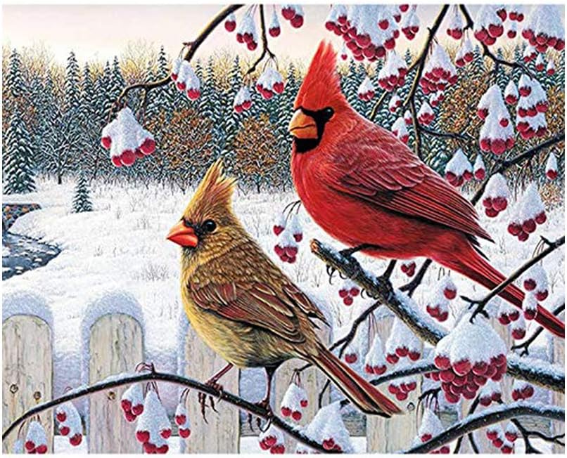 WEIYP 5D Diamond Painting Kits for Adults Full Drill The Cardinals