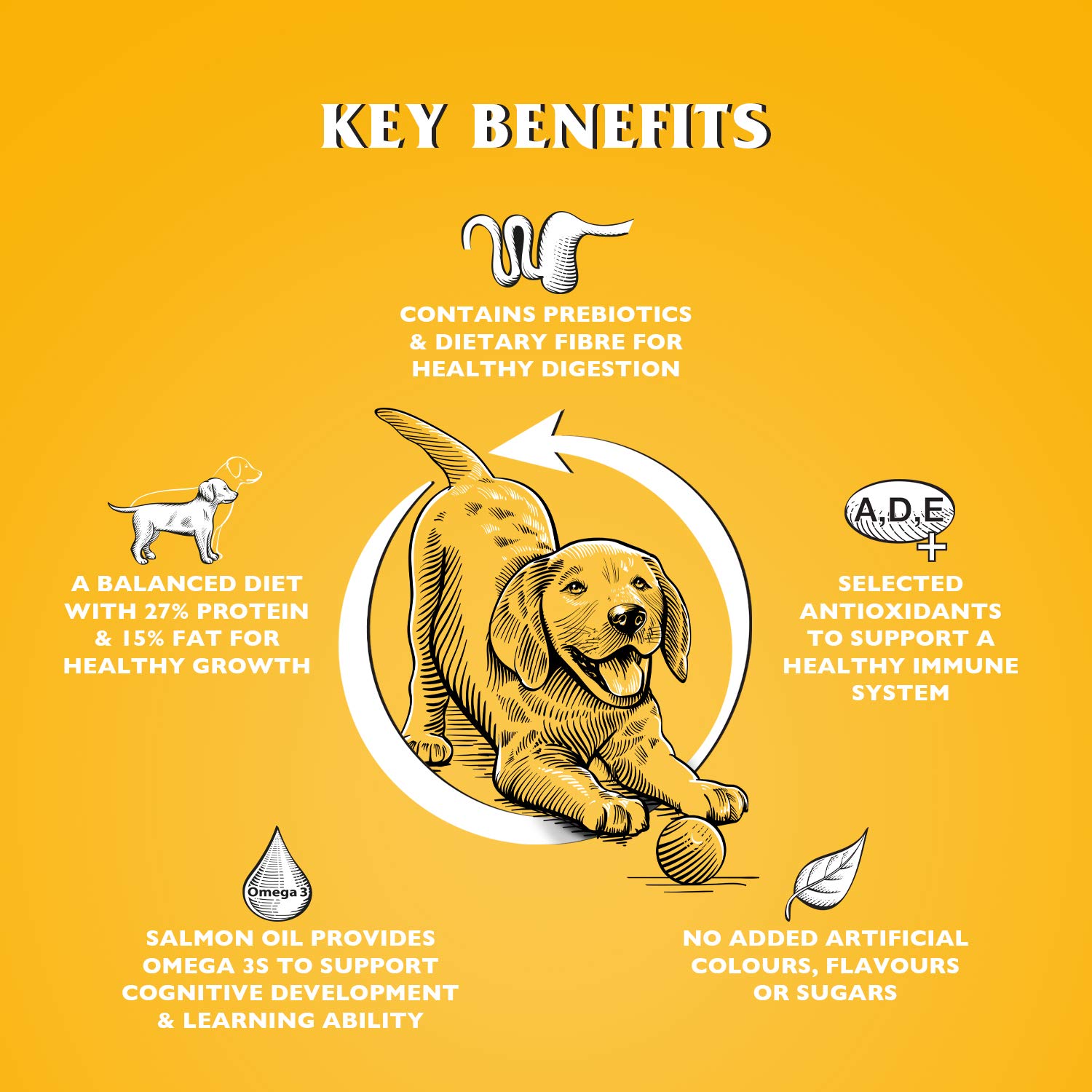 dr john gold dog food ingredients