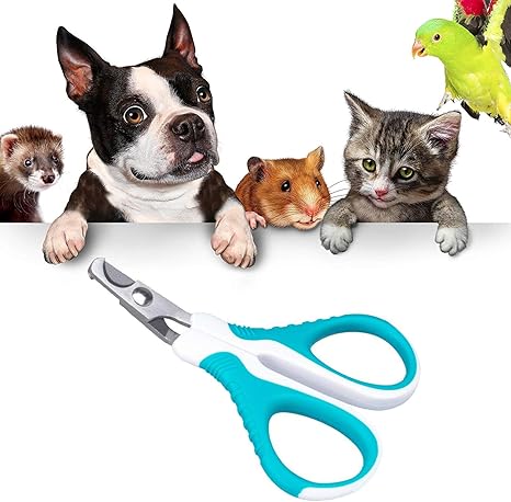 Onebarleycorn Coupe Ongles Professionnelle Pour Chien Ou Chatidéal Pour Un Chat Chiot Chaton Et Petit Chien Un Grand Coupe Griffes Pour Le