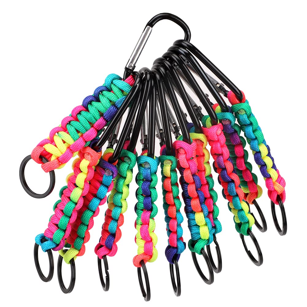 IVEOPPE Pack of 10 D-Shape Screw Carabiner, Mini Carabiner Keychain Lanyard Clip Ring, Nylon Braided Lanyard, Multi-coloured