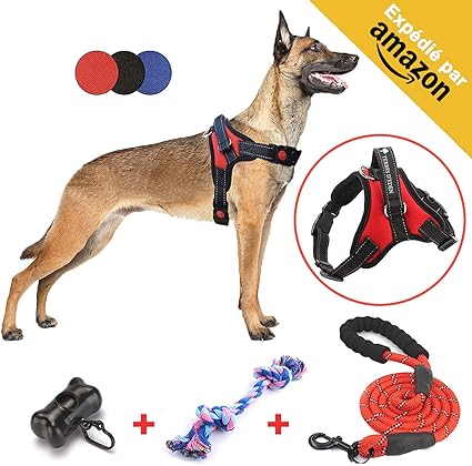 Terres Deden Harnais Gros Chien Harnet Arnais Réglable